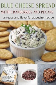 Blue cheese spread with cranberries and pecans is an easy and flavorful appetizer recipe