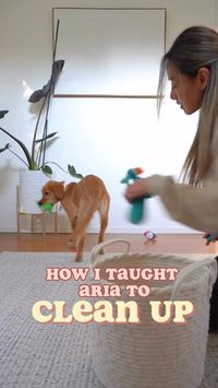 Here is how @ayce.and.aria is doing it! Teaching your pup to clean up not only keeps your home organized but also strengthens the bond between you and your furry companion. Follow our step-by-step guide to make the process fun and rewarding for both of you! 🤗💕