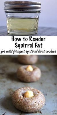 How to Render Fat from Squirrel Meat - If you're looking for squirrel meat recipes, you'll want to learn how to render squirrel fat and make homemade cookies!