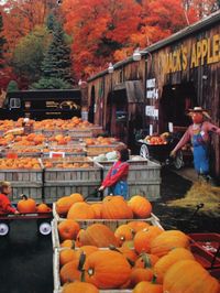 Londonderry, NH. Mac's Apples. Greatest pies, ice cream apples and of course pumpkins.