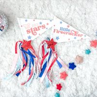 Celebrate the 4th in style with our new for '22 patriotic pennant flags! This flag is assembled, printed on card stock, attached to a wooden rod and decorated with a variety of red white and blue ribbons with your choice of embellishment.