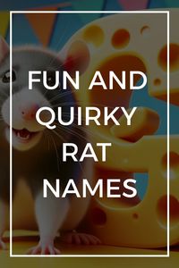 Welcome to the ultimate collection of rat names! Whether you’re a new pet parent to these intelligent and affectionate rodents or a seasoned rat enthusiast looking to rename your furry friend, you’ve stumbled upon the