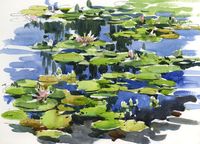 WaterLilies