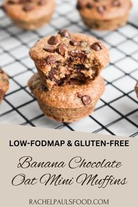 Easy, flourless, Low-FODMAP Oatmeal Banana Chocolate Chip Mini Muffin recipe.  Gluten-free and good for your gut!