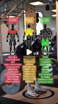 Emil Siegel | Personal Trainer Frankfurt on Instagram: "Transform your workout routine with this Push-Pull-Legs cheat sheet! 💪 For push days, focus on chest, shoulders, and triceps with exercises like bench press, incline bench press, shoulder press, dips, and tricep pushdowns. On pull days, target your back, biceps, and rear delts with movements such as chin-ups, barbell rows, lat pulldowns, dumbbell curls, and face-pulls. For leg days, hit your quads, hamstrings, glutes, and calves with squats, Bulgarian split squats, leg presses, lunges, and deadlifts. Incorporate these exercises into your routine for a balanced and effective training regimen that will help you build strength and muscle evenly across your body. Keep pushing your limits and watch your progress soar!

#workoutplan #gym #