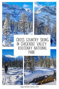 Cross-country skiing in Chickadee Valley, Kootenay National Park, BC