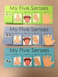 5 Senses Craft Ideas For Preschoolers - Crafts DIY and Ideas Blog