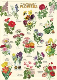 PRICES MAY VARY. Title: Cavallini & Co. Decorative Wrap Poster, Language of Flowers, 20 x 28 inch Italian Archival Paper (WRAP/LNGFLR). Product Type: Categories