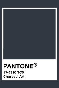 PANTONE 19-3916 TCX Charcoal Art