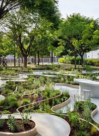 layered maze-like public garden coils around river park's trees in seoul