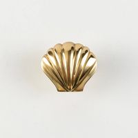 Cape 2" Knob - Coastal Hardware in Polished Brass - Shell Knobs – Modern Matter