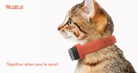 Nuzzle: A GPS Tracking Pet Collar, App and Insurance http://www.floppycats.com/nuzzle-a-gps-tracking-pet-collar-app-and-insurance.html