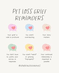 🚨 If you've felt isolated and unsupported in your grief, I'm deeply sorry. You're not alone. 📚 Your feelings are backed by countless studies showing the deep impact pets have on our lives. 🌻 Let's use our shared experiences to build a bridge of empathy and understanding, offering support where it's needed most.