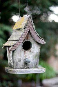 birdhouse