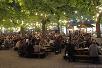 chestnut trees in munic beer garden