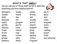 A poster/handout that can be used to teach children different words they can use in their writing or can be used to expand their vocabulary which can help with reading and comprehension. This poster is focused on words which describe how something smells.  Get all 9 word walls together and save here: http://www.teacherspayteachers.com/Product/Best-Deal-All-The-Nine-Word-Walls