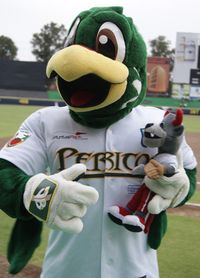 Pancho Perico quien es la mascota de los Pericos de Puebla, se tomó algunos momentos para posar ante nuestro querido Rocco que estuvo presente en miniatura