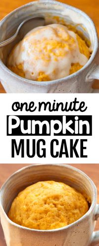 Pumpkin Mug Cake - Just 4 Ingredients!