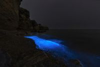 The glowing waves that appear in Tomales Bay are a natural phenomenon that you have to see to believe.