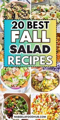 Whether it’s fall or summer, I can’t live without salads. Honestly, nothing is healthier and more refreshing than a bowl of salad. If you’re also a fan of salads and looking for healthier options for your daily diet, this roundup guide is for you. From hearty potato and quinoa salads to crunchy veggie and chicken...