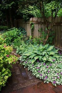 10 best shade garden ideas for the backyard that not only looks beautiful and tidy but also looks quite swanky and feel cool.