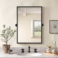 Neutypechic Modern Metal Wall Mirror Rectangular Pivot Bathroom Vanity Mirror : Target