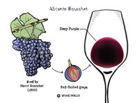 Lovers of Big Reds Look To Alicante Bouschet | Wine Folly