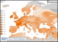 Histoire et description de l'haplogroupe K (ADN mitochondrial) et ses sous-clades