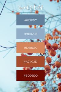 Orange and blue color palette for corporate and personal branding, graphic design, social media posts, interior design decisions, and more. Find other color palettes, summer color palettes, design ideas, color schemes, summer design ideas on my page! #design #graphicdesign #branding  #colorpalette #summerdesign #summerpalette #digitalproducts #persimmon