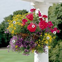 25 Gorgeous Hanging Basket Ideas to Dress Up Your Yard