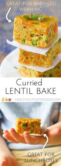 Curried Lentil bake, a perfect finger food making it great for baby-led weaning (blw) Great for the lunch box. via @hlittlefoodies