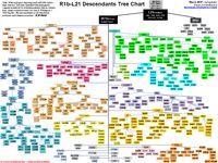 R1b-L21/S145 Phylogenetic Tree