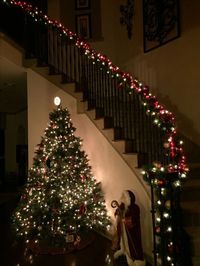 Christmas tree and Railing lights