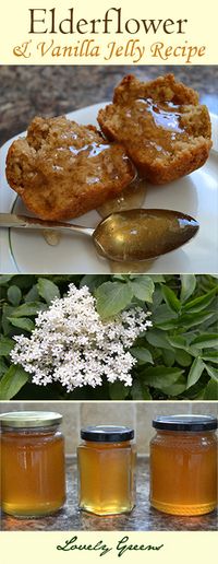 Recipe for Elderflower and Vanilla Jelly - so good you'll want to eat it out of the jar!