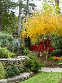 Stacked stone ledger wall