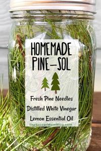 Pine needles have antibacterial properties, so not only does this spray help break down everyday grease and grime, but it can also help disinfect surfaces. But the best part is that it wipes away clean, leaving behind a fabulous fresh pine scent. It’s essentially a homemade Pine Sol …and it smells just as good too!