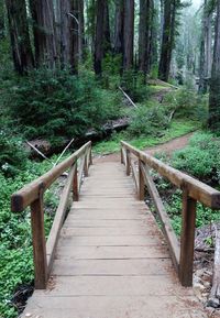 Ewoldsen Trail Big Sur