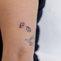 Tiny ladybugs tattoo on arm