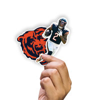 Officially Licensed NFL Removable Adhesive Decal