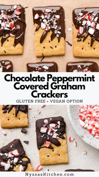 Chocolate peppermint covered graham crackers are a delicious and easy holiday treat! Made with gluten free graham crackers, melted chocolate, peppermint extract, and crushed candy canes - no baking required. A simple and festive dessert that the whole family will love making and eating! Gluten free, vegan option.