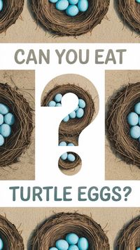 Before you consider eating turtle eggs, make sure you know the facts. This post covers the legal and health implications of consuming these eggs. Discover how this practice affects Pet Turtle Care and Turtle Terrariums. Pin now for important Turtle Care Tips!