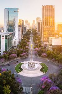 Heading to Mexico city but dont know what area to stay? Head to our Mexico city blog to discover our picks of the best suburbs to stay, whats near by and where to eat. #Mexico #mexicocity #travel #cdmx