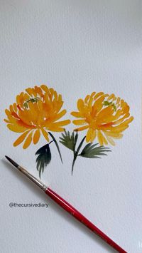 Painting watercolor chrysanthemums using my go to filbert brush. This brush makes it so easy to paint the curved petals of this flower. Do you own a filbert brush yet?