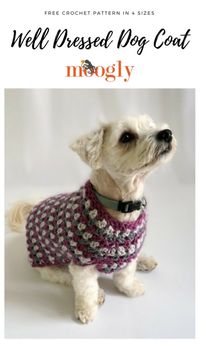 Well Dressed Dog Coat - moogly