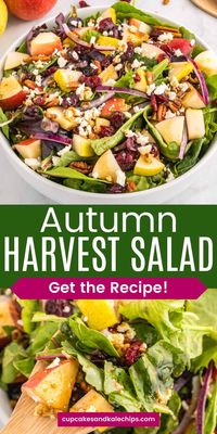 This Harvest Salad is a delicious mix of fresh apples, pears, crunchy pecans, and dried cranberries, all tossed with a creamy homemade maple balsamic dressing. The crumbled feta adds a salty touch. Perfect for Thanksgiving or as a healthy lunch!