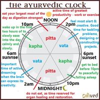 Healing Through Chronobiology: Hours Of The Day By Dosha. The Ayurveda Clock divides the day into six periods - two each for the three doshas. A good understanding of the same will help you make the most of your day.