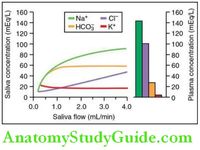 Physiology Of Salivary Secretion Notes - Anatomy Study Guide