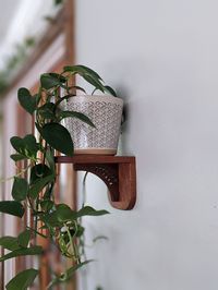 Wood Floating Plant Shelf | Minimalist Wooden Plant Holder PLANT and POT IS NOT INCLUDED! Designed for the modern minimalist with love of plants. These floating shelves are great for any potted plant,  succulent, or cactus. We use them for Pothos and this allows the plant to easily grow up the wall. These wooden shelves are a beautiful accent for your wall. These wooden floating shelves will bring a modern look to any room in your home. Design: * 3 wood choices: Walnut, Cherry, Mahogany * Load c