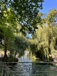 What to do in Munich, Germany. Englischer Garten: big park in the middle of the city.