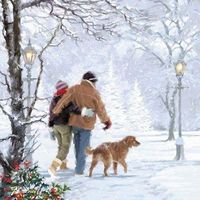 Couple Walking Dog by The Macneil Studio